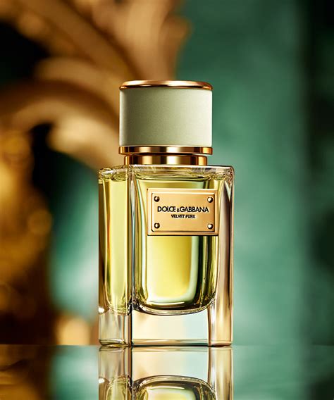 dolce gabbana nouveau parfum|dolce and gabbana perfumes list.